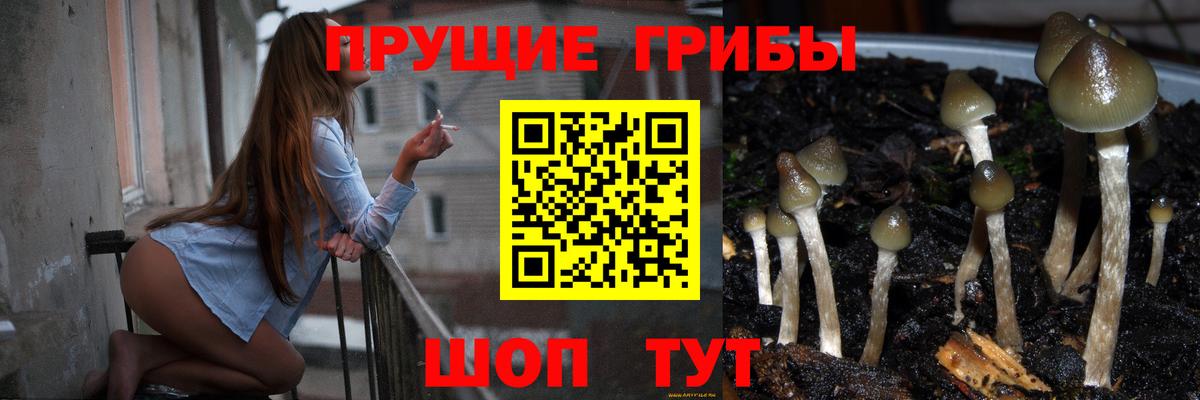 Псилоцибиновые грибы прущие грибы  Вход с VPN  Амурск 